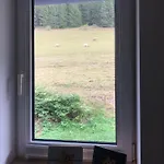 ゲストハウス Pension Obere Juchhe In Thueringen Kleines, Familiaeres Pension Mit 4 Zimmern Und Einem Geraeumigen Apartment, Ideal Fuer Familien Und Kleine Gruppen Gräfenthal