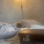 ゲストハウス Pension Obere Juchhe In Thueringen Kleines, Familiaeres Pension Mit 4 Zimmern Und Einem Geraeumigen Apartment, Ideal Fuer Familien Und Kleine Gruppen