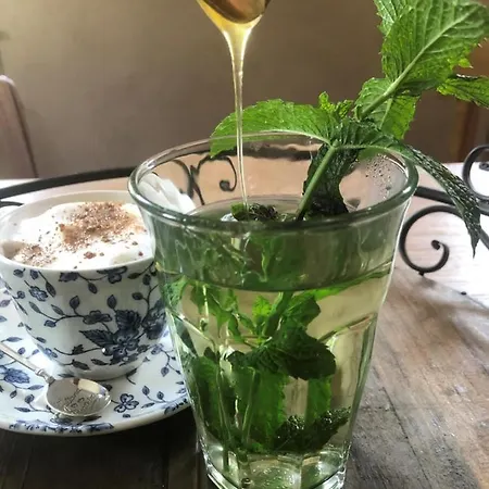 Familienpension Obere Juchhe, Und 1-12 Personen 3* Gräfenthal