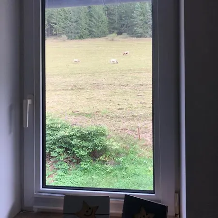 Gasthof Obere Juchhe In Thüringen Kleines, Familiäres Mit 4 Zimmern Und Einem Geräumigen Apartment, Ideal Für Familien Und Kleine Gruppen Gräfenthal