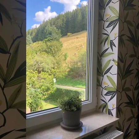 Familienpension Obere Juchhe, Und 1-12 Personen Vendégház Gräfenthal