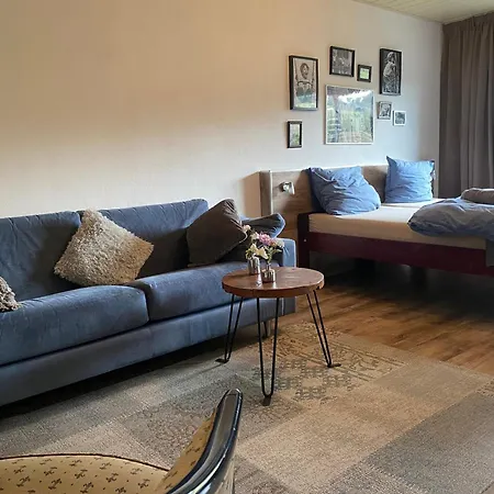 Obere Juchhe In Thüringen Kleines, Familiäres Mit 4 Zimmern Und Einem Geräumigen Apartment, Ideal Für Familien Und Kleine Gruppen Gräfenthal