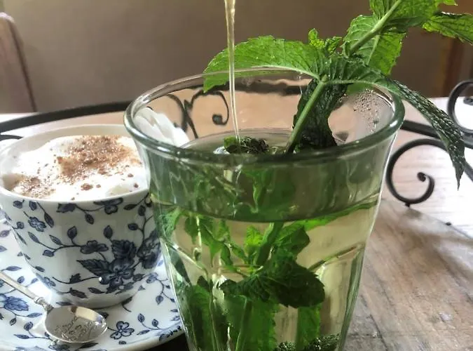 Pension Obere Juchhe In Thueringen Kleines, Familiaeres Pension Mit 4 Zimmern Und Einem Geraeumigen Apartment, Ideal Fuer Familien Und Kleine Gruppen 3* Gräfenthal