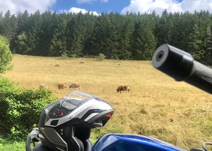 Gasthuis Familie Pension Obere Juchhe, vakantiewoning en kamers Gräfenthal