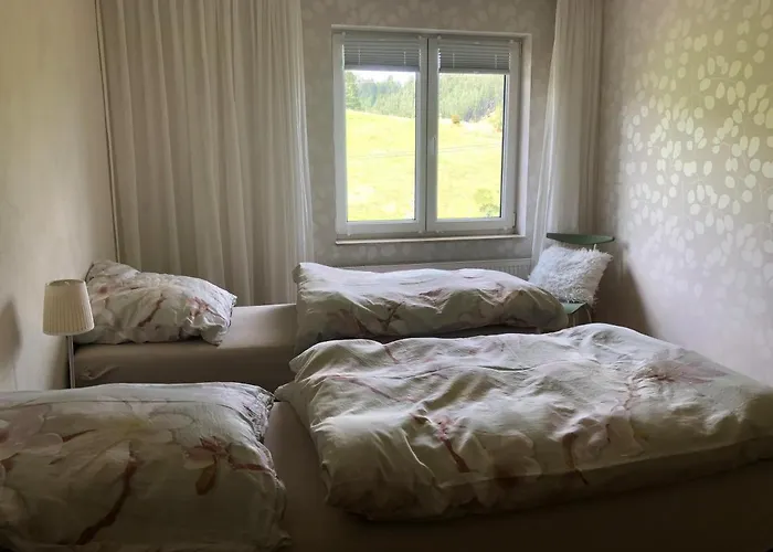 Familie Pension Obere Juchhe, vakantiewoning en kamers Gasthuis Gräfenthal