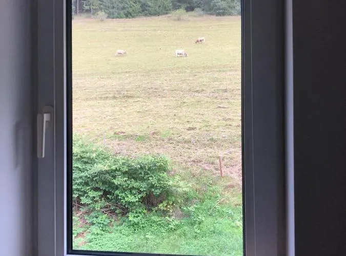 Gasthof Familie Obere Juchhe, Vakantiewoning En Gräfenthal