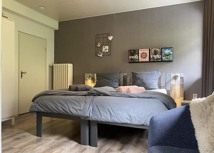 Familie Pension Obere Juchhe, vakantiewoning en kamers 3* Gräfenthal