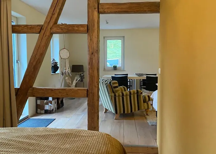 Familie Pension Obere Juchhe, vakantiewoning en kamers 3* Gräfenthal